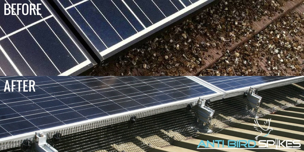 How to install Solar Panel Bird Mesh