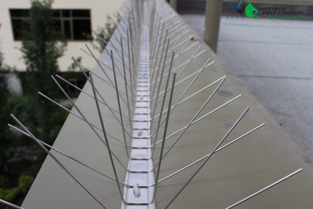 How to install bird spikes