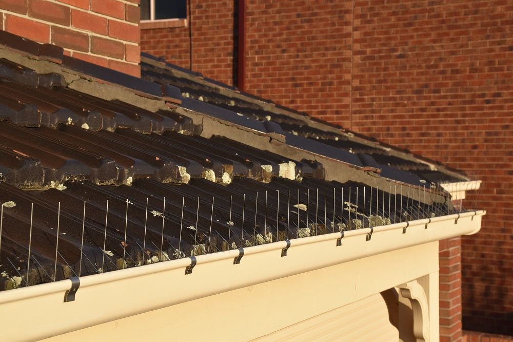 How to Install Gutter Bird Spikes