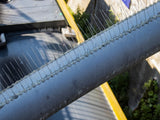 Anti Bird Spikes - Wide Installed on pipe
