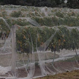 Bird Netting - Fruit Tree