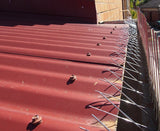 Gutter Bird Spikes - Extra Dense