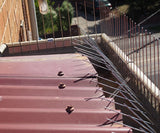 Gutter Bird Spikes - Extra Dense