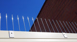 Gutter Bird Spikes - Extra Dense