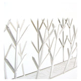 Thorny Devil Bird Spikes