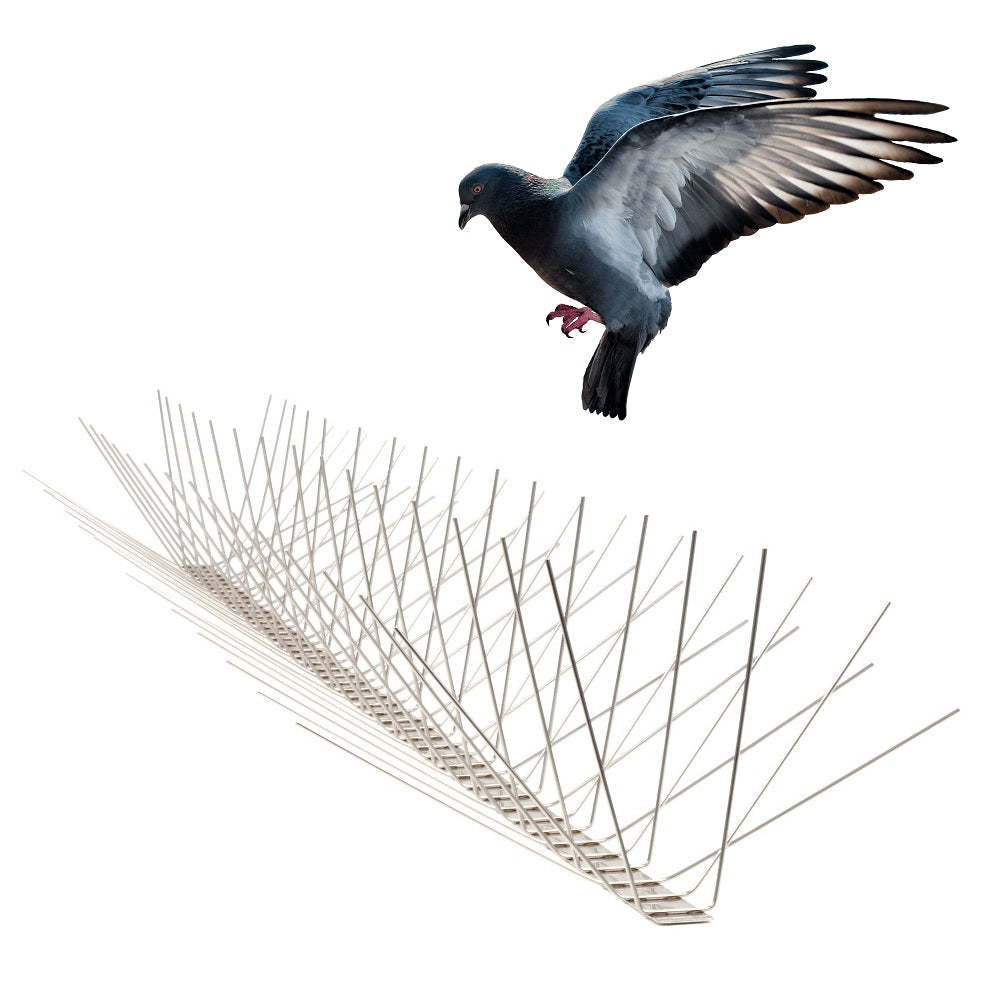 Stainless Steel Bird Spikes - Built to last