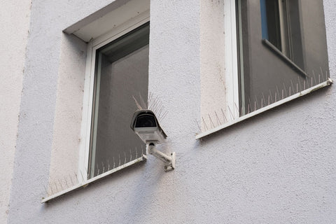 Window Spikes Anti Bird Spikes - Stainless Steel Spikes Marine Grade | BUY ONLINE