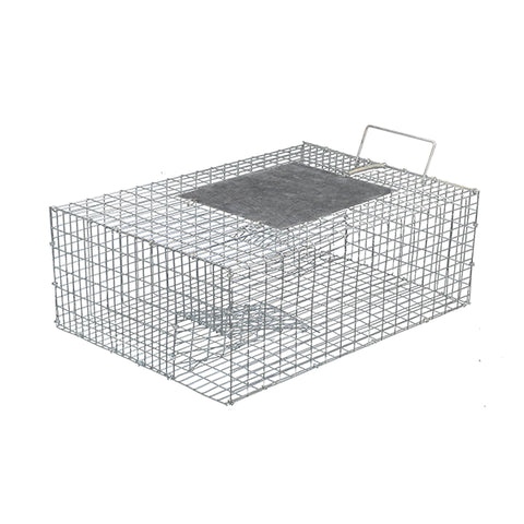 Sparrow Bird Trap