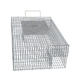 Sparrow Bird Trap