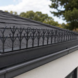 Thorny Devil Bird Spikes - Black