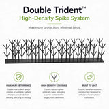 Thorny Devil Bird Spikes - Black