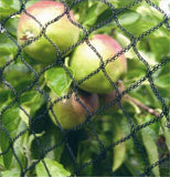 Bird Netting - Fruit Tree