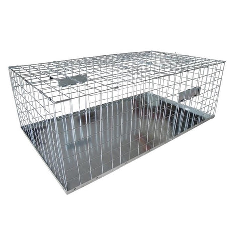 Foldable Pigeon Trap