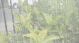 Fruit Fly Netting