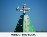Bird Busta Bird Sweep