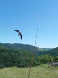 ScaryBird Kite