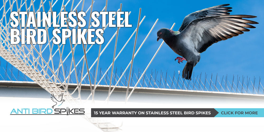 Stainless Steel Bird Spikes