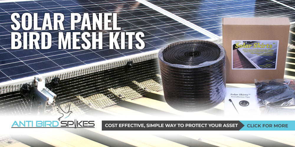 Solar Panel Protection